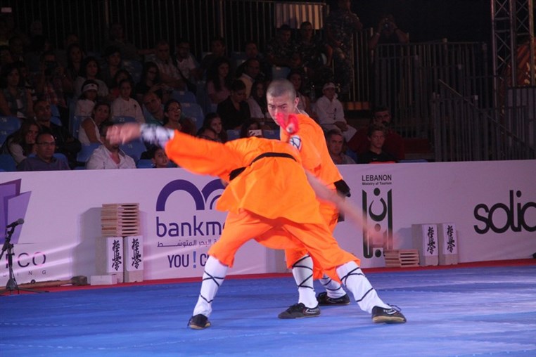 Martial Arts Festival